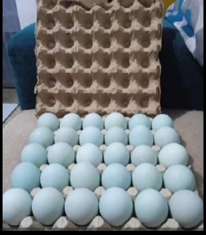 Telor Asin dan Kerupuk